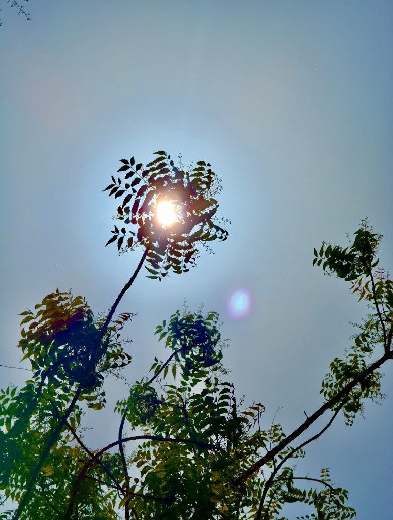 Nature
